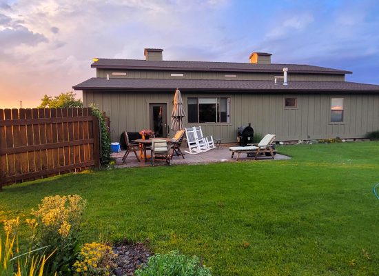 backyard2